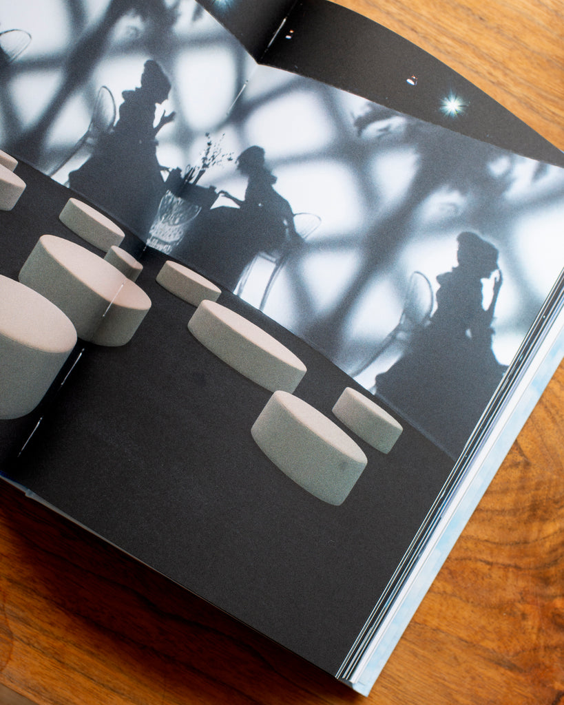 Carrie Mae Weems: The Shape of Things
